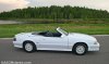 175_7510.jpg