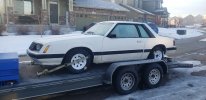 20230116_080728.jpg 20230116_080728.jpg