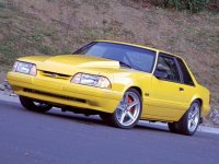 yellownotch.jpg