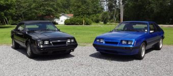 86Mustang010_zps03c6b93e.jpg