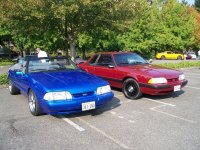 101_7657_zps1c0bad67.jpg