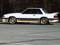 SaleenCoupe88-509013-1.jpg