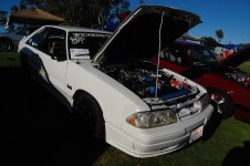 DSC_5498_1024x681.jpg