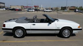 50f86e56fb170bcb72f4694887c69a7f.jpg