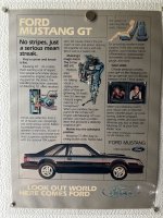 IMG_8633.jpeg