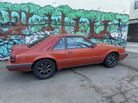 IMG_0099.jpeg