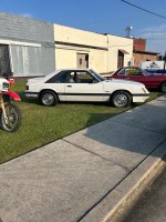 IMG_4442.jpeg