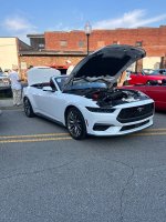 IMG_4444.jpeg