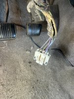 IMG_1101.jpeg IMG_1101.jpeg