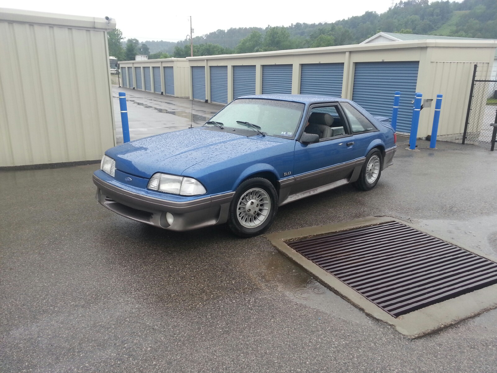 20150619_190447.jpeg
