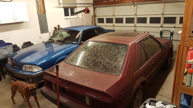 20151124_202621.jpg