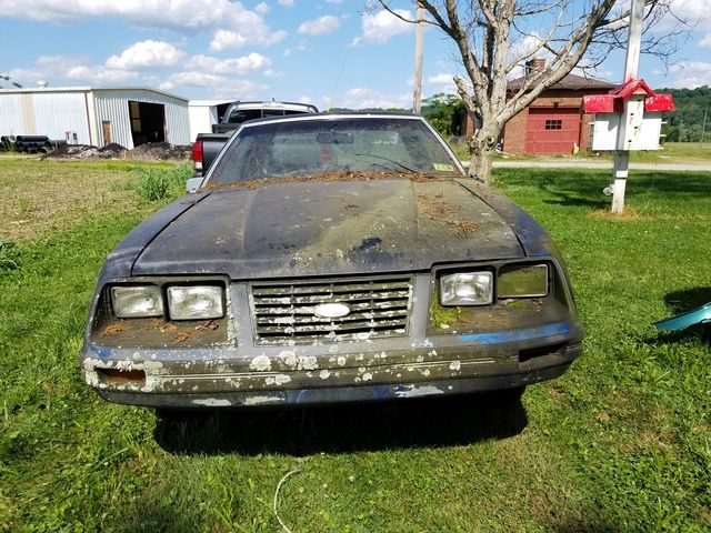 20170530_163649.jpg