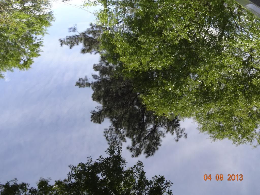 84Turbo002-22_zps4733820f.jpg