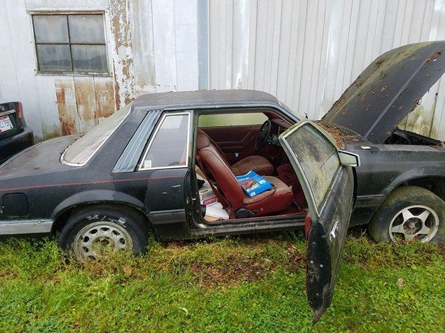 Coupe.jpg