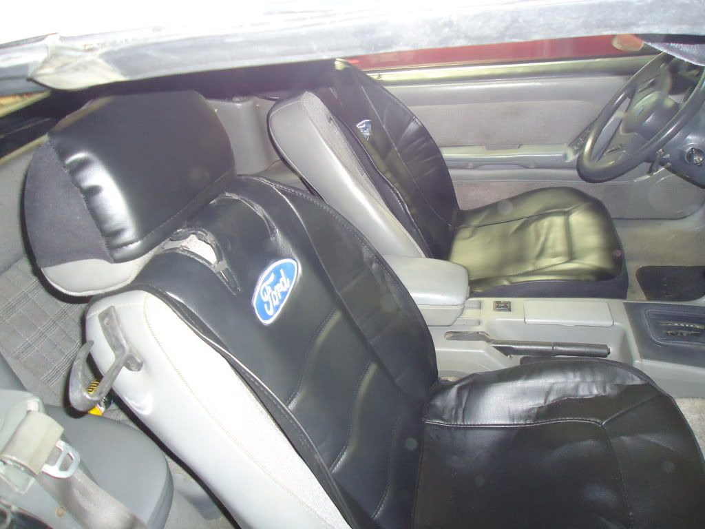 DSC00640.jpg