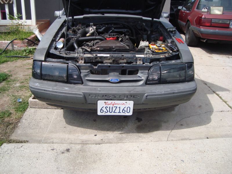 DSC03237_zpse7a2d24b.jpg
