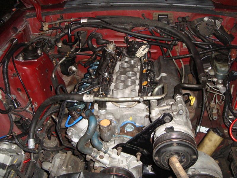 DSC03353_zps9fa197e3.jpg