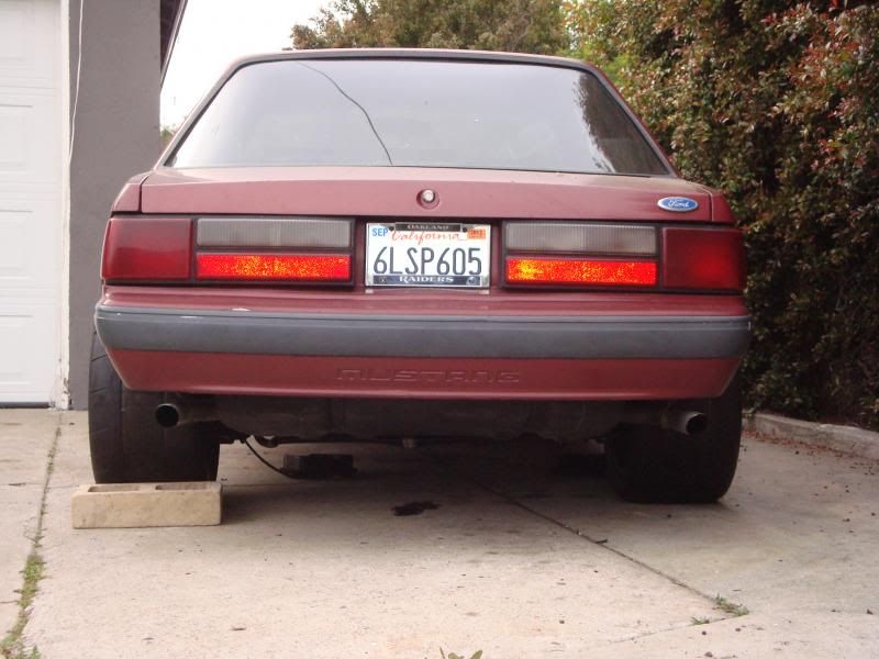 DSC03359_zpse9140db2.jpg