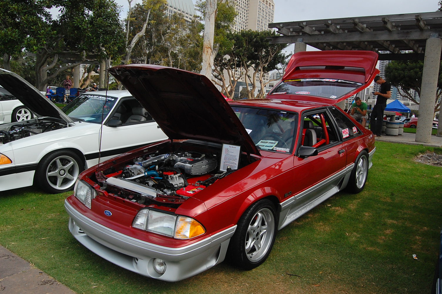 dsc_9892-jpg.jpg