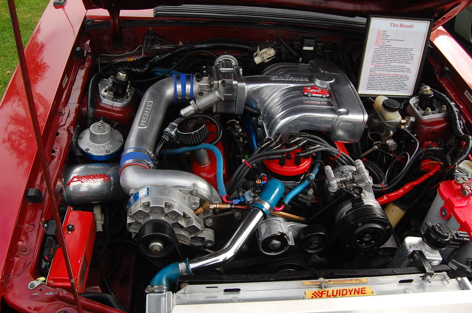 DSC_9908.JPG