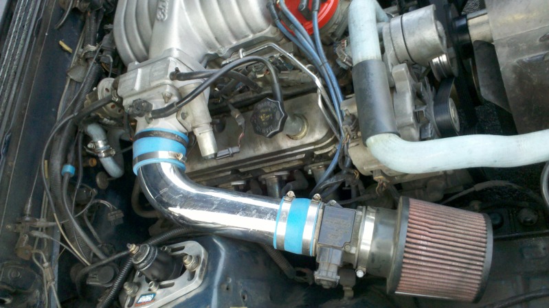 hatch11.jpg