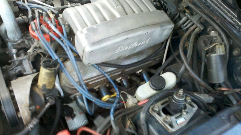 hatch12.jpg