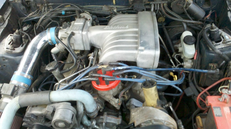 hatch13.jpg
