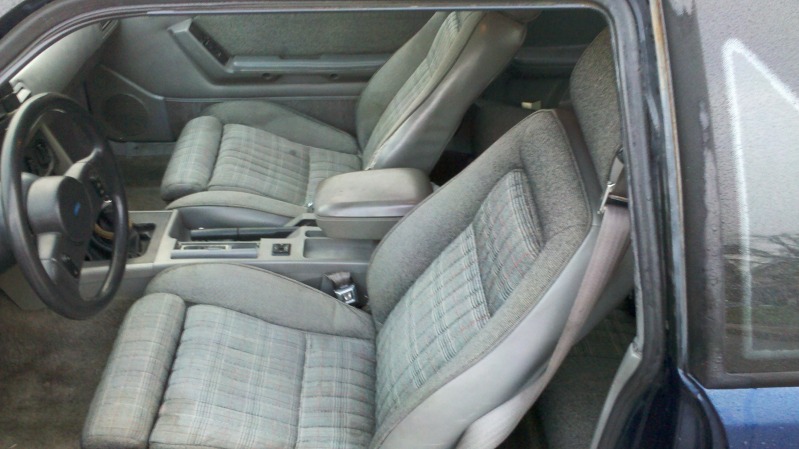 hatch18.jpg