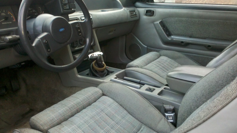 hatch19.jpg
