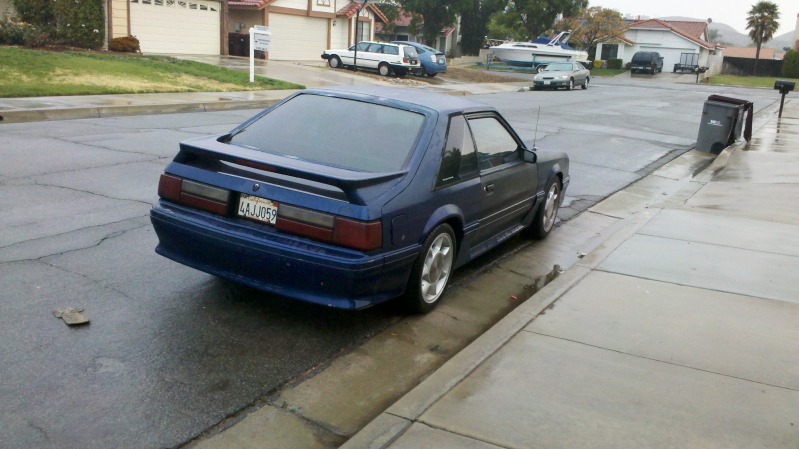 hatch20.jpg