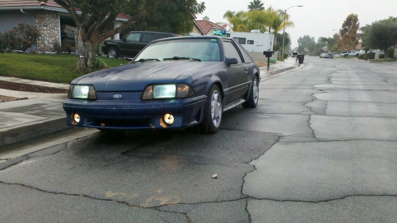 hatch4.jpg