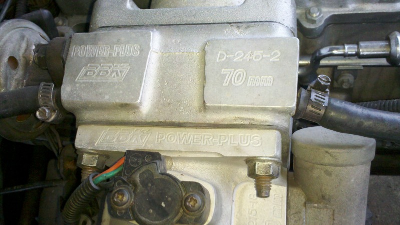 hatch6.jpg