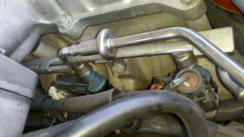 hatch7.jpg