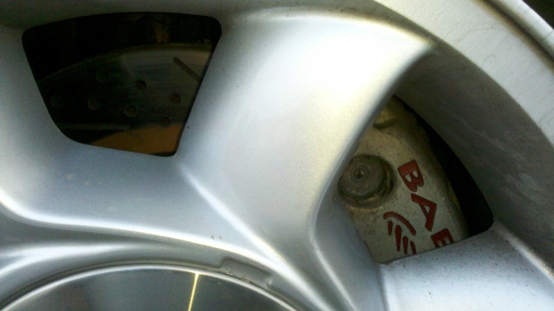 hatch9.jpg
