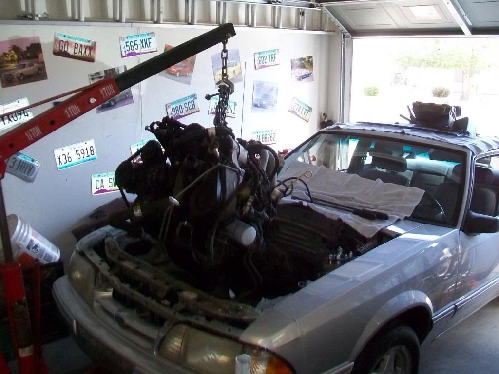 imagejpg3_zps2b532eb3.jpg