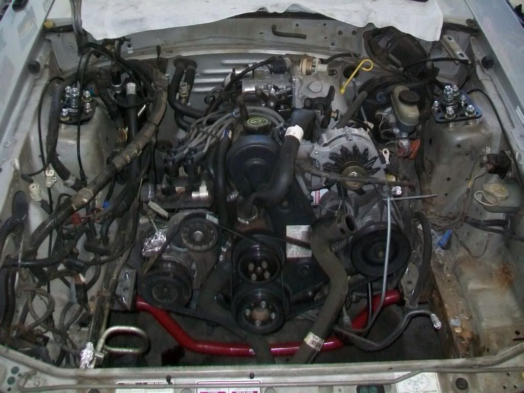 imagejpg4_zps24a1a98e.jpg