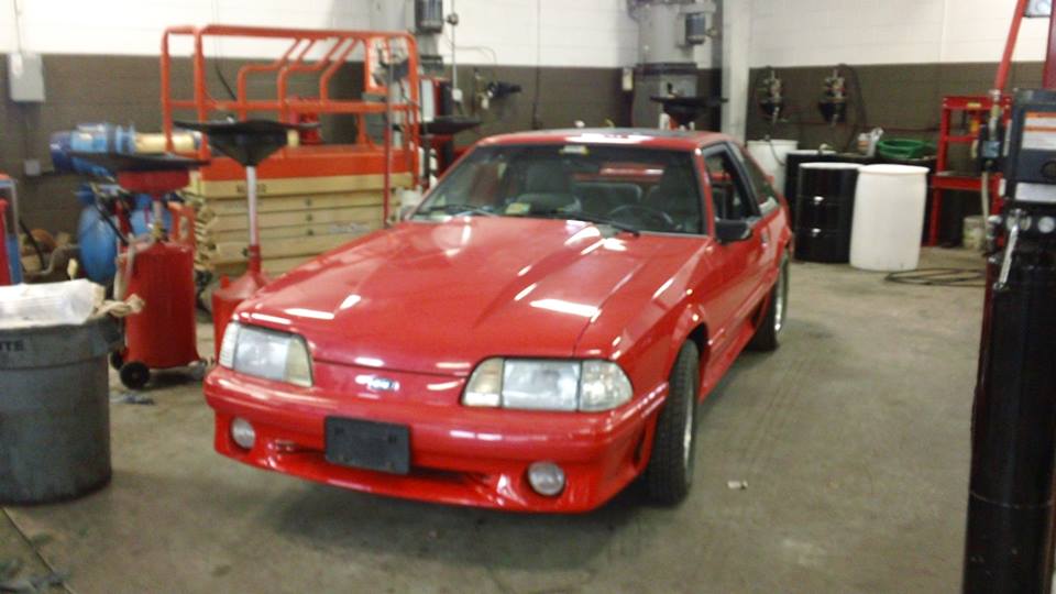 Mustang1.jpg
