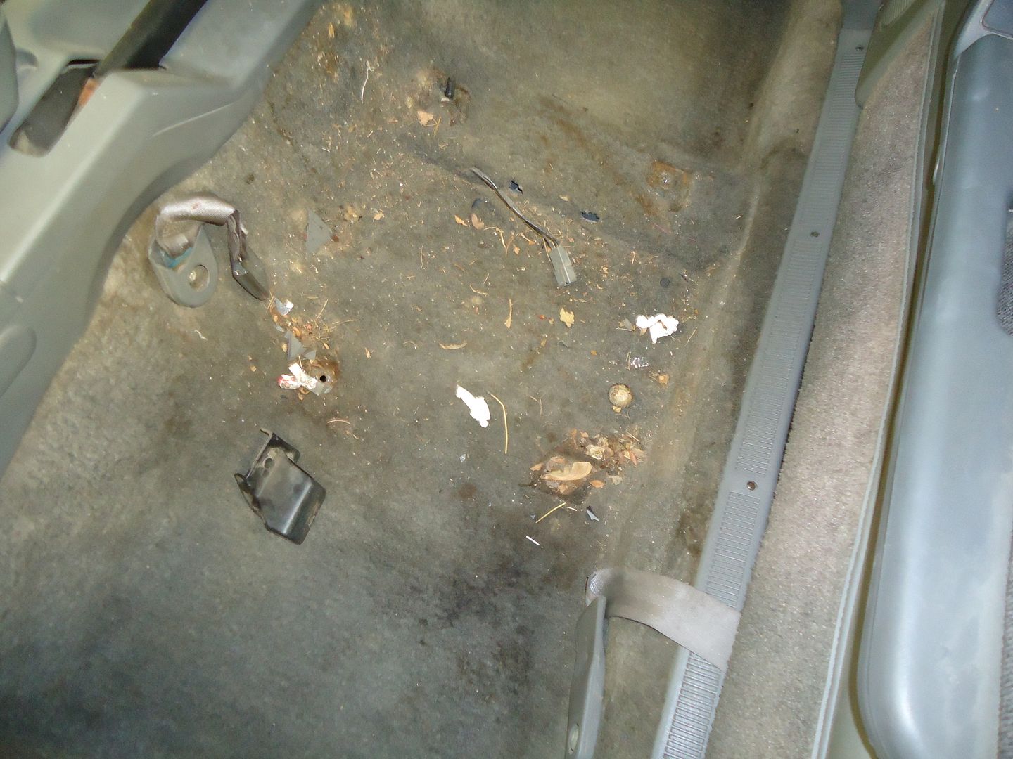 Picture155_zpscab2d5a7.jpg