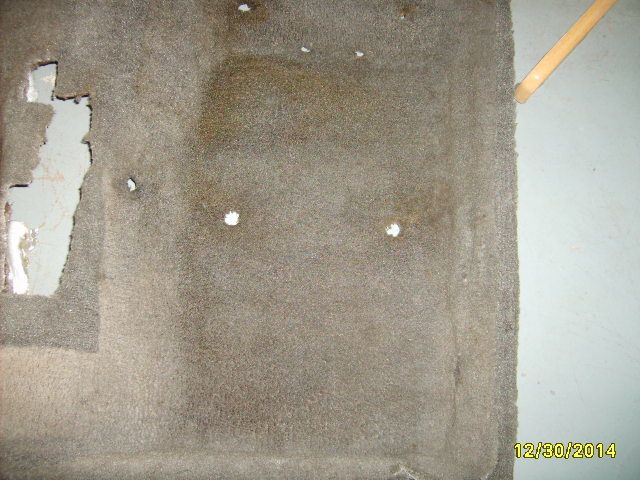 S5000060.jpg