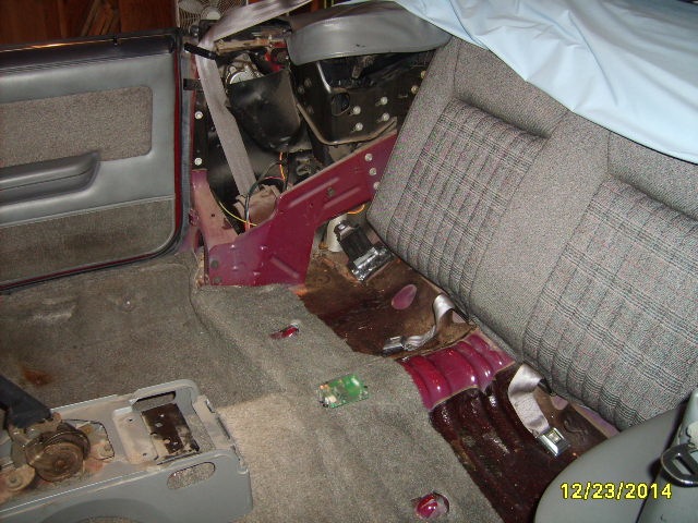 S5000075.jpg