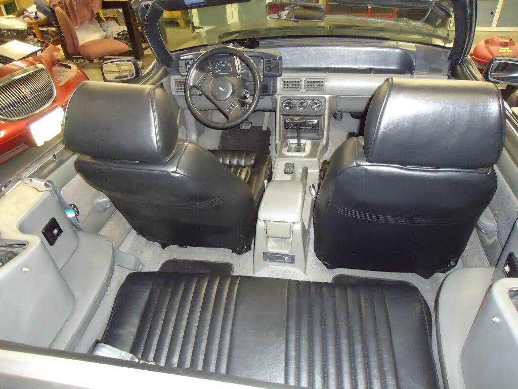 stang011.jpg