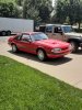 mustang.jpg