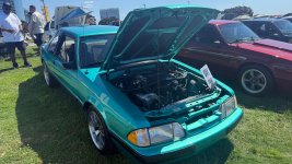 IMG_0515.jpeg