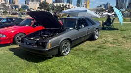 IMG_0529.jpeg
