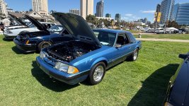 IMG_0532.jpeg