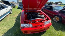 IMG_0524.jpeg