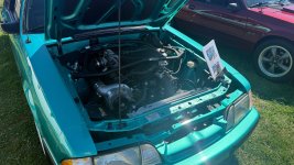 IMG_0517.jpeg