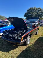 IMG_4764.jpeg IMG_4764.jpeg