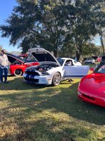 IMG_4762.jpeg IMG_4762.jpeg