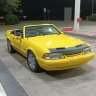 93canary